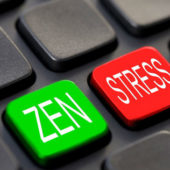 zen – stress zen – stress